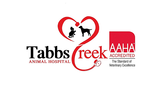 Tabbs Creek Animal Hospital | 905 Williamsboro St, Oxford, NC 27565 | Phone: (919) 690-0024