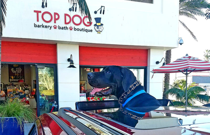 TOP DOG *Barkery, *Bath & *Boutique | 21010 Pacific Coast Hwy A-160, Huntington Beach, CA 92648, USA | Phone: (714) 960-3647