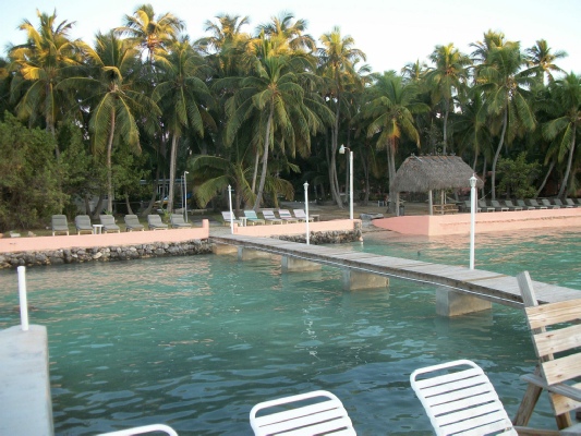 Popps Motel | 95500 Overseas Hwy, Key Largo, FL 33037, USA | Phone: (305) 852-5201