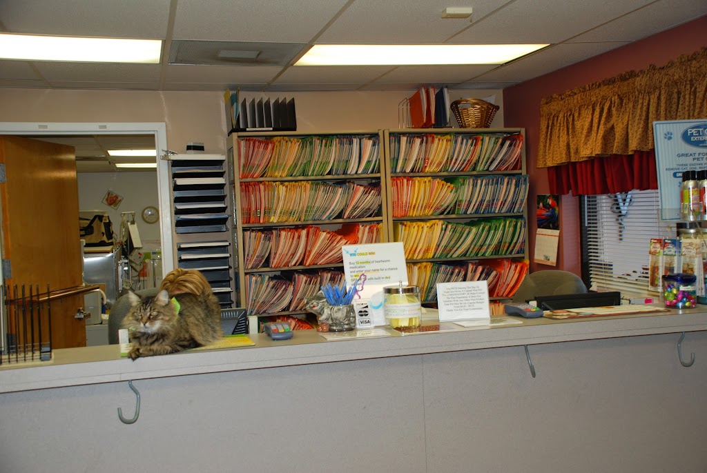 Animal Clinic of Brandon | 901 N Parsons Ave, Brandon, FL 33510, USA | Phone: (813) 651-0467