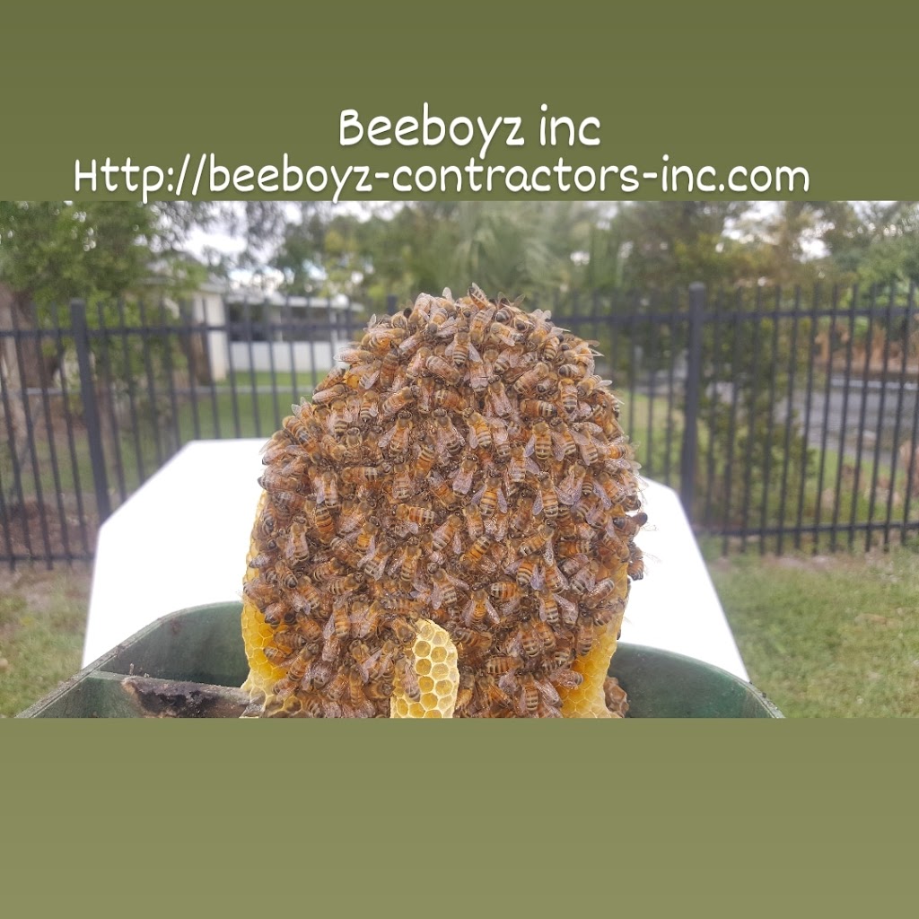 BeeBoyz Inc-Safe Bee Removal | 15371 SW 51st St, Davie, FL 33331, USA | Phone: (954) 483-5533