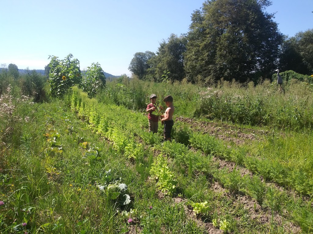 Timber Creek Farm & Forest | 8413 170th Avenue East, Sumner, WA 98390, USA | Phone: (206) 708-0616