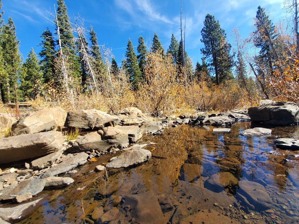 Burton Creek State Park | Tahoe City, CA 96145, USA | Phone: (530) 525-7232