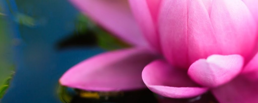 Lotus Acupuncture & Fertility Clinic | 513 N Morrison Rd, Vancouver, WA 98664, USA | Phone: (360) 984-6489