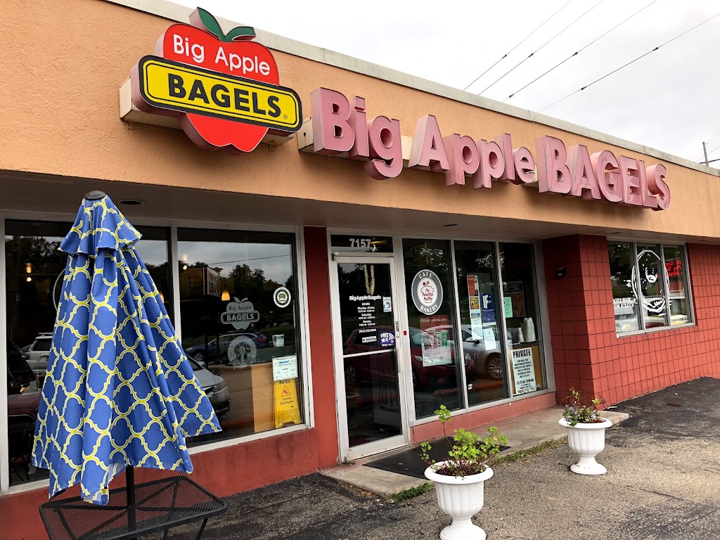 Big Apple Bagels | 7157 Beechmont Ave, Cincinnati, OH 45230, USA | Phone: (513) 232-9900