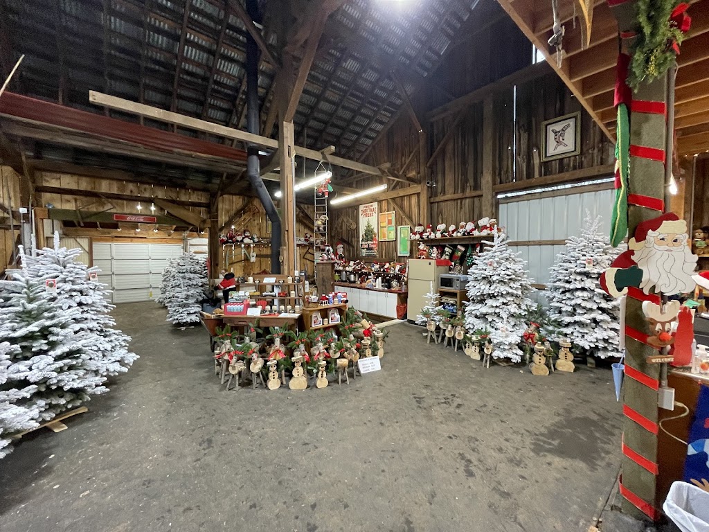 Bobz Tree Farm | 21735 S Springwater Rd, Estacada, OR 97023, USA | Phone: (503) 631-4585