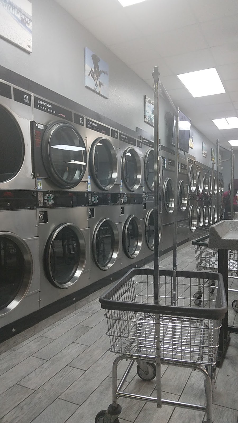 University Laundromats Corporation | 1917 E Fletcher Ave, Tampa, FL 33612, USA | Phone: (813) 374-2330