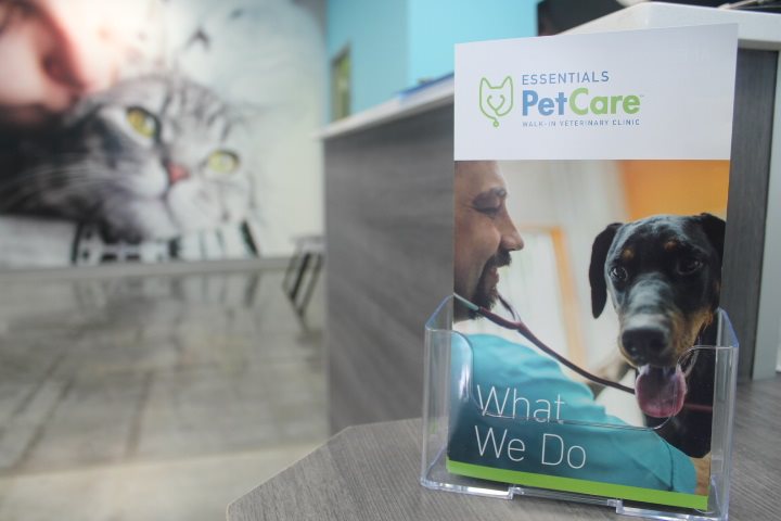 Essentials PetCare Veterinary Clinic | 6001 N US 75-Central Expy 1000, Plano, TX 75023 | Phone: (972) 665-7295