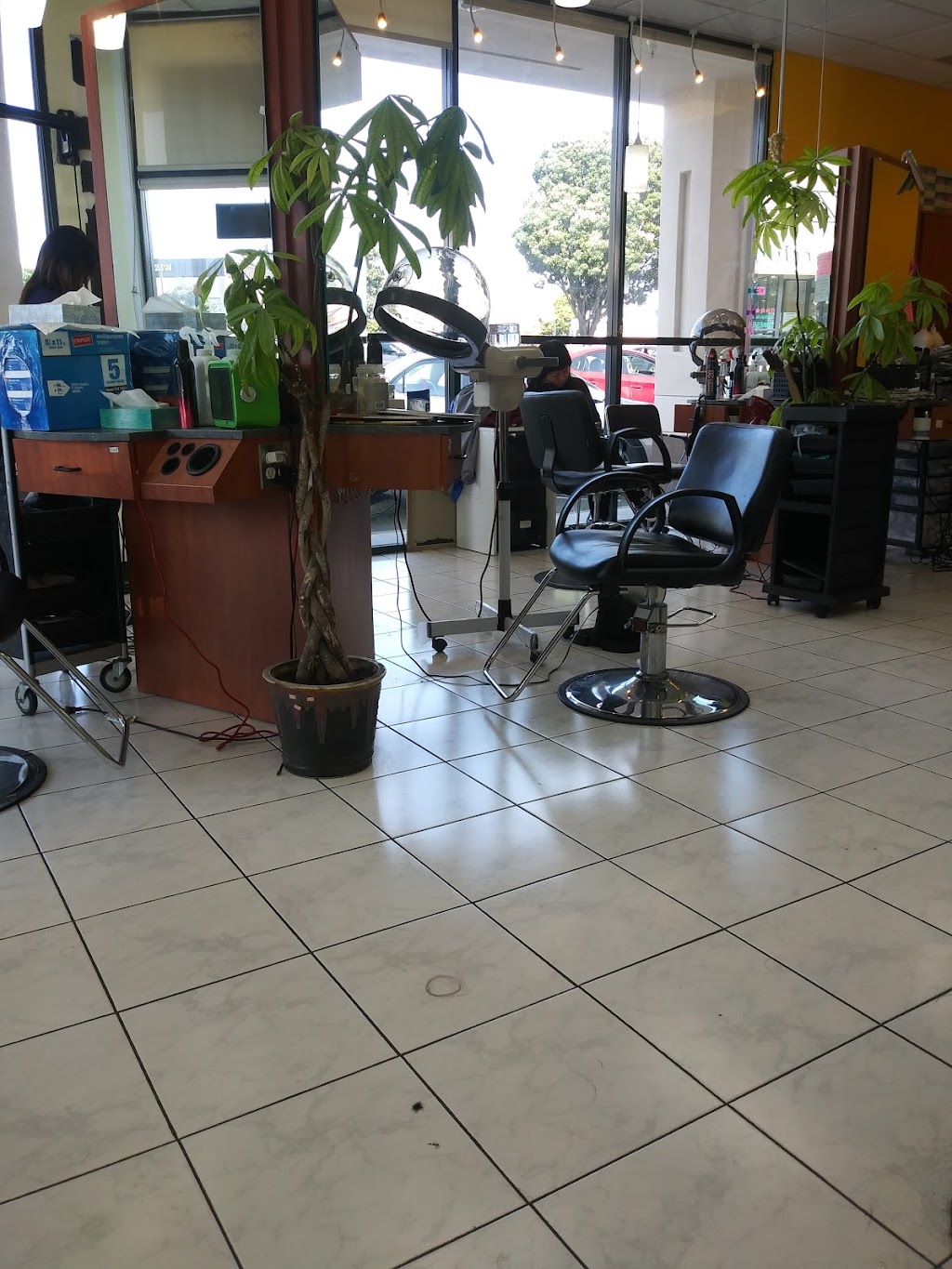 Hair Designers | 75 Skyline Plaza, Daly City, CA 94015, USA | Phone: (650) 757-0388