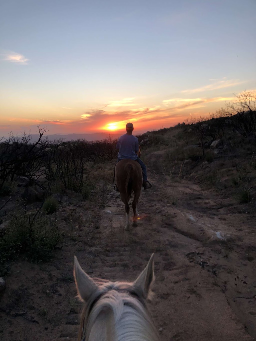 Fun horse trail rides/lesson | 18540 W Boundary Truck Trail, Jamul, CA 91935 | Phone: (619) 493-8949