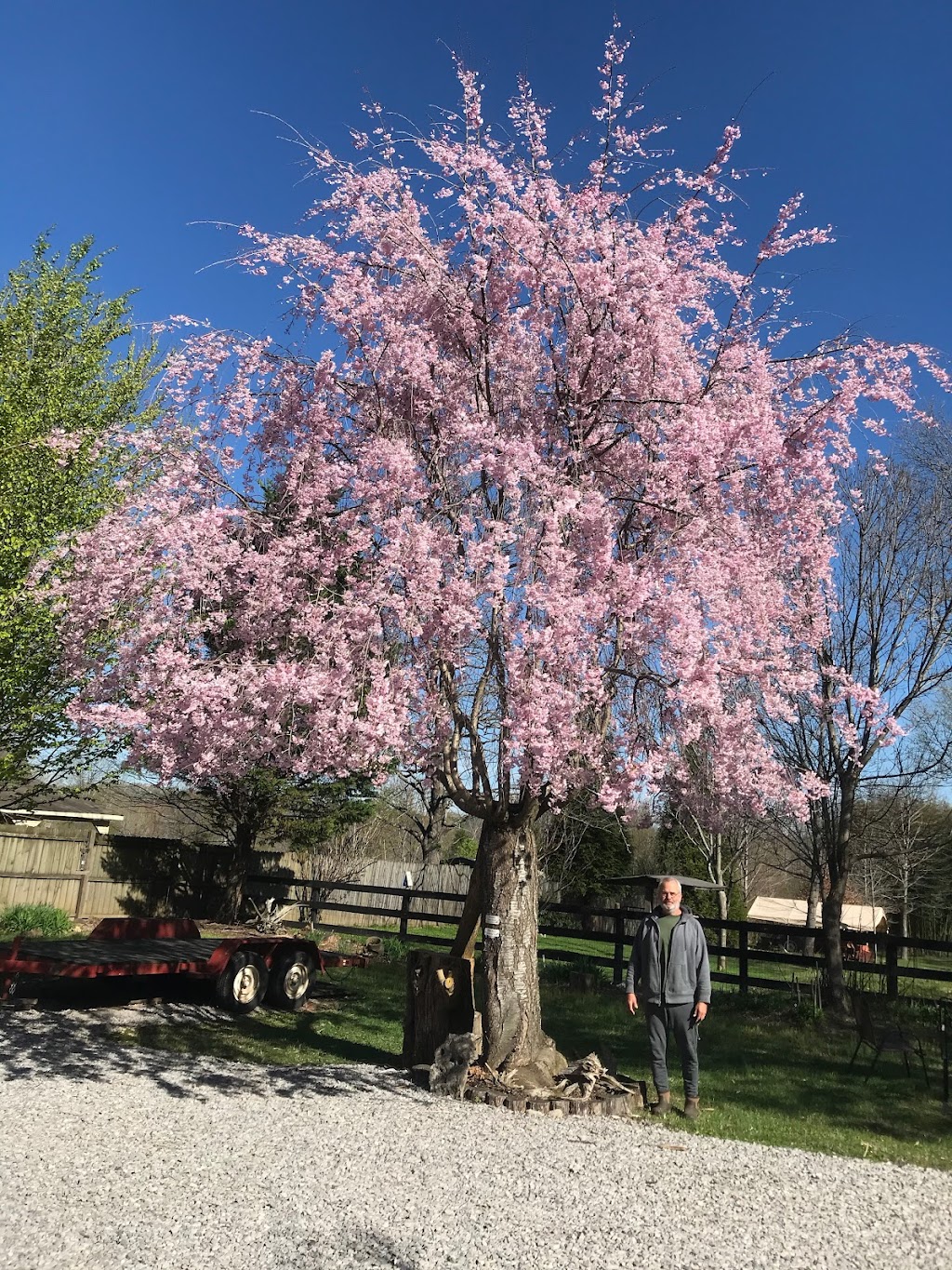 White House Arboretum | 210 Rolling Acres Dr, White House, TN 37188, USA | Phone: (615) 714-4628