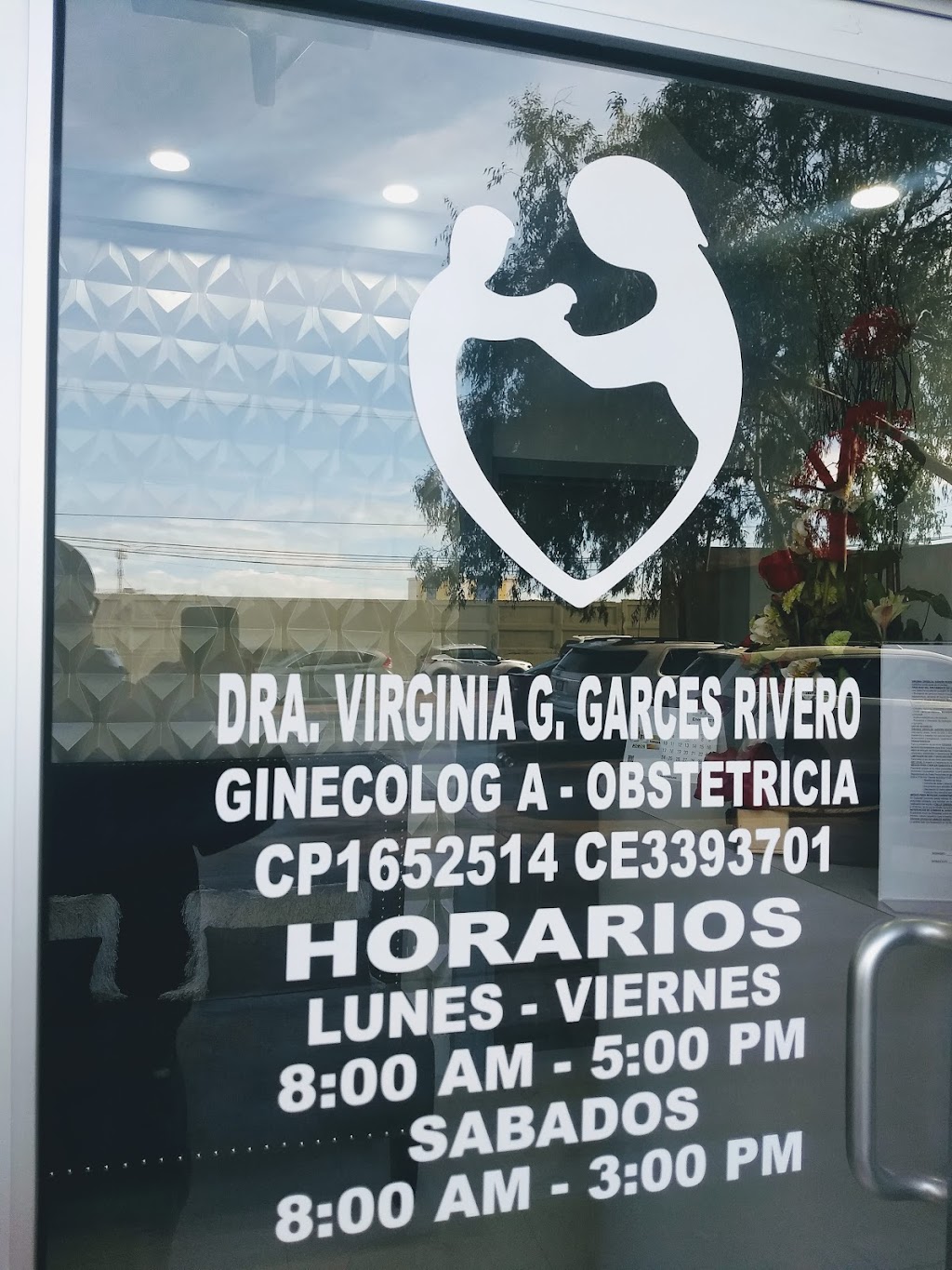 Dra Virginia G Garces Rivero | Cantera 400-Interior 5, Terrazas, 22504 Tijuana, B.C., Mexico | Phone: 664 609 4408