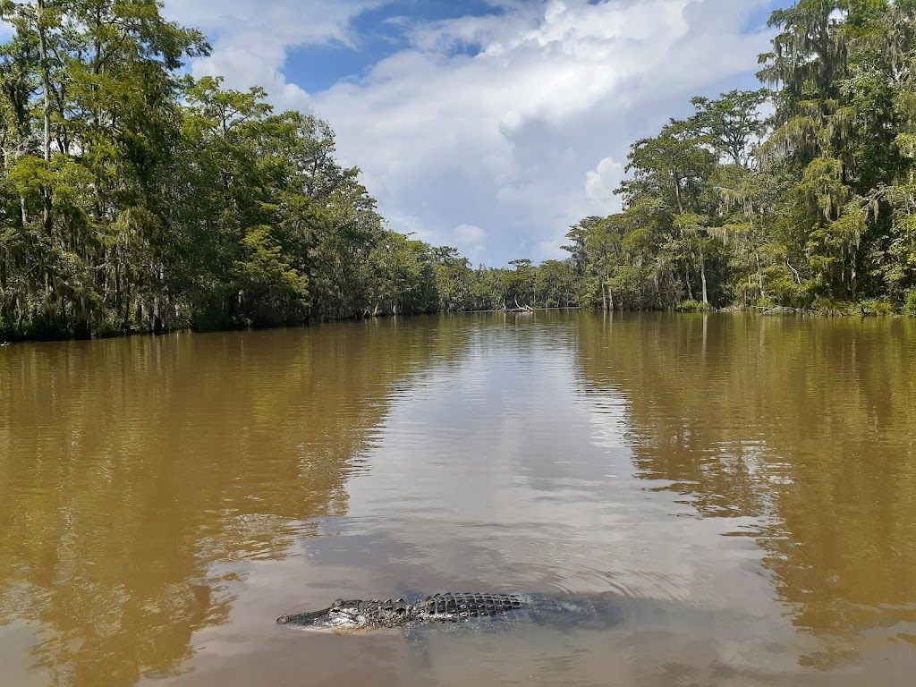 Honey Island Swamp Tours | 41490 Crawford Landing Rd, Slidell, LA 70461, USA | Phone: (985) 641-1769