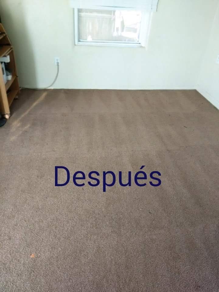 Power Carpet Cleaning | 1056 S Revere, Mesa, AZ 85210, USA | Phone: (480) 430-5269