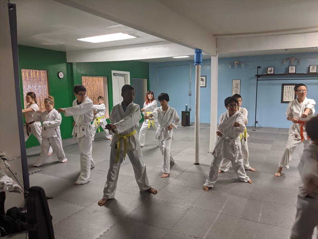 Shi Kaze Dojo | 177 Kendra Dr, McDonough, GA 30253, USA | Phone: (404) 855-1918