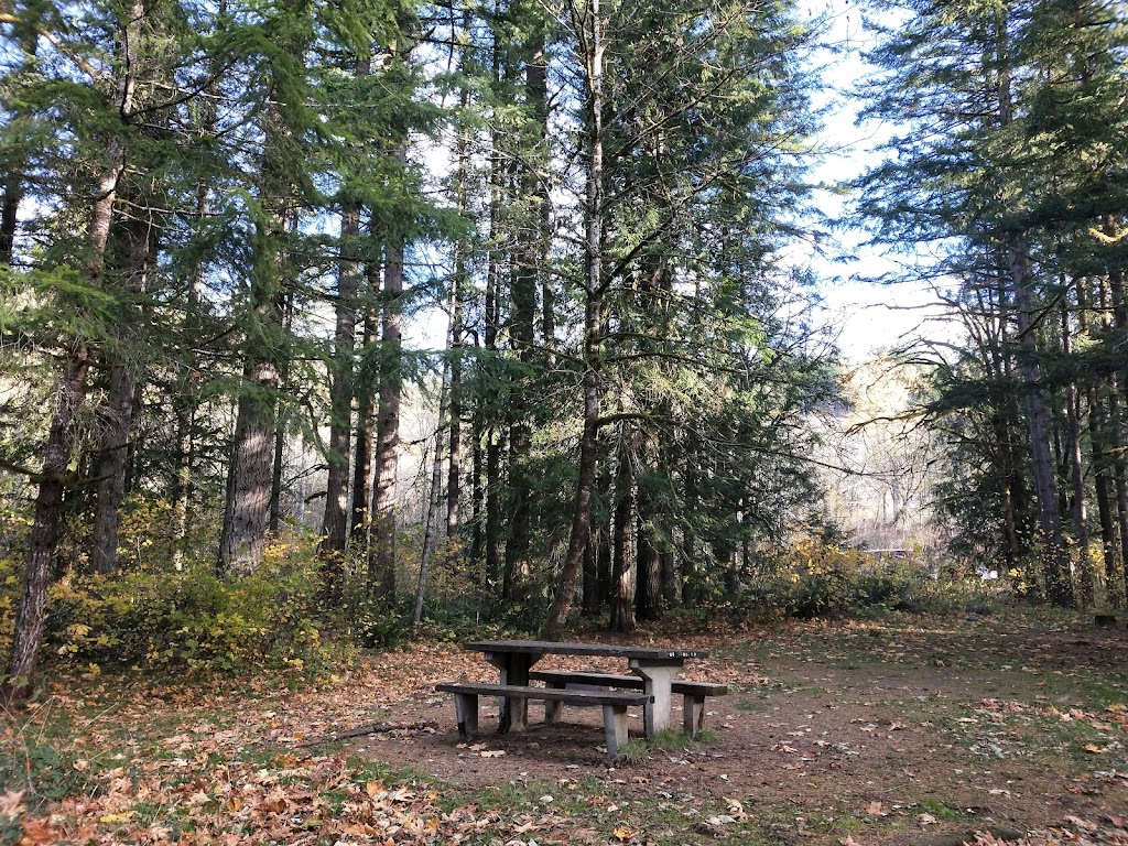 Sunset Falls Campground | 40806 NE Sunset Falls Rd, Yacolt, WA 98675, USA | Phone: (509) 395-3400