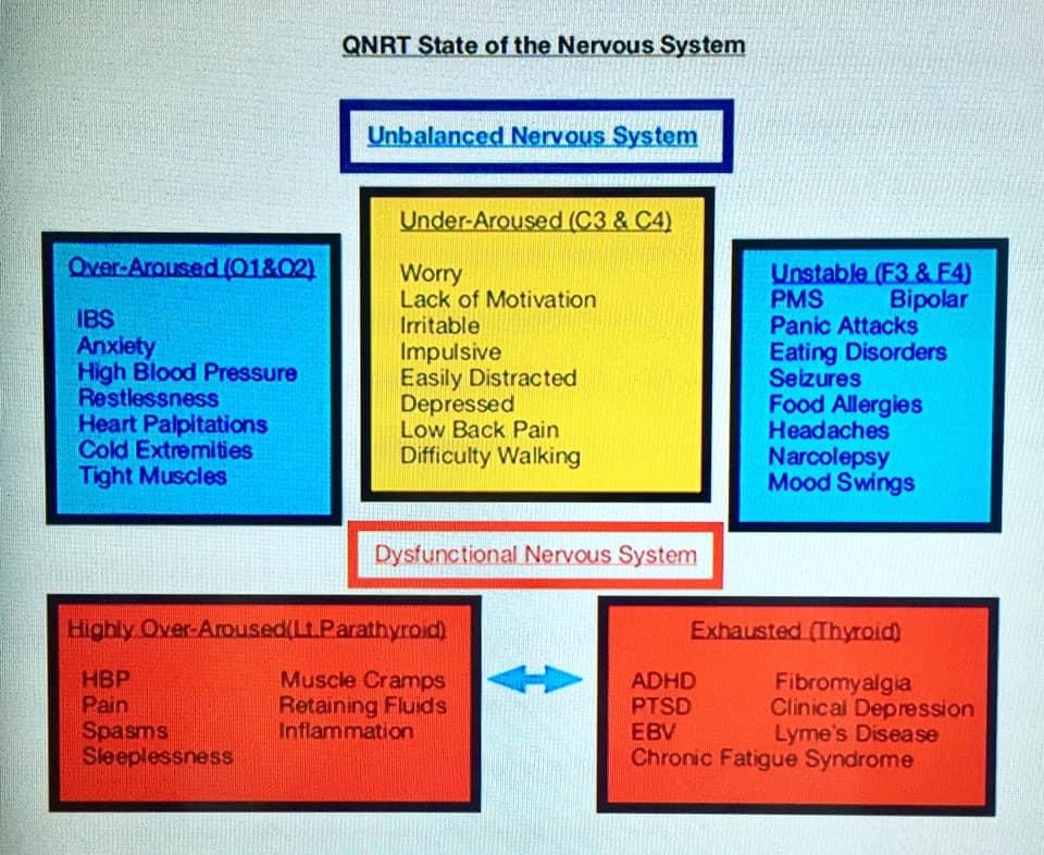 The Brain Reset QNRT | 4558 Winfield Dr, Nashville, TN 37211, USA | Phone: (615) 417-1447