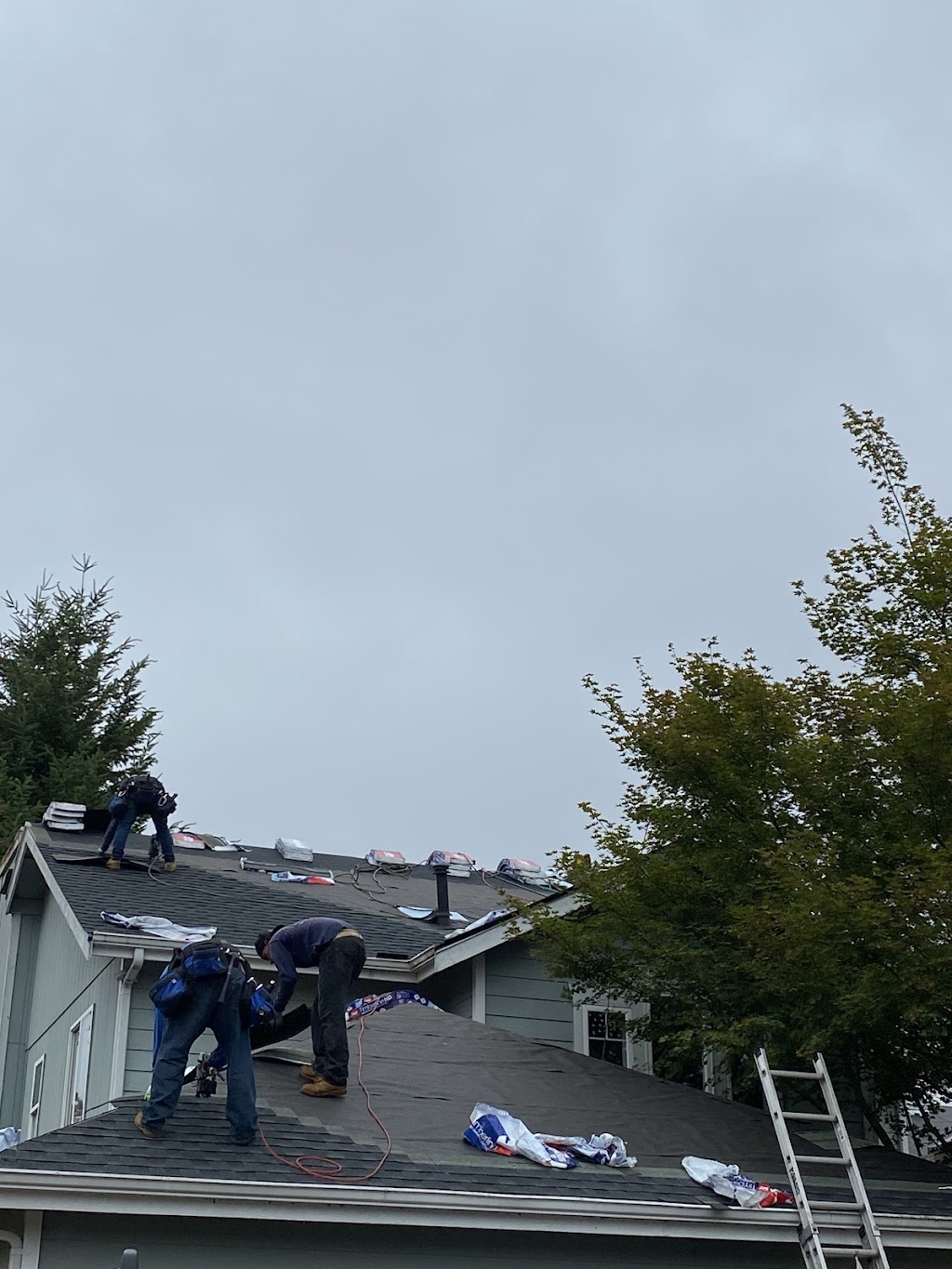 Lobo Roofing, LLC | 8303 19th Ave E, Tacoma, WA 98404, USA | Phone: (253) 563-1539