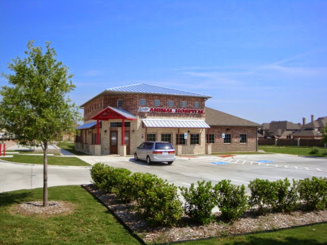 Country Creek Animal Hospital | 1258 W Exchange Pkwy, Allen, TX 75013, USA | Phone: (972) 649-6777