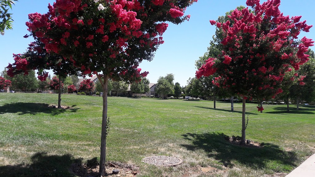 Eagles Nest Park | 95670, 11810 Chrysanthy Blvd, Rancho Cordova, CA 95742, USA | Phone: (916) 369-9844