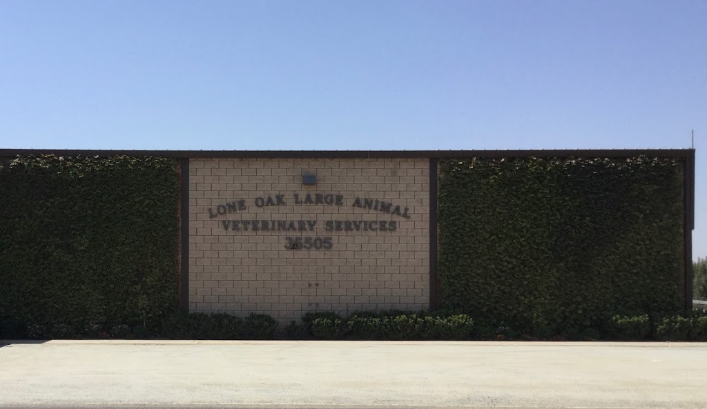 Lone Oak Large Animal Vet Services | 35505 Rd 132, Visalia, CA 93292, USA | Phone: (559) 732-4810