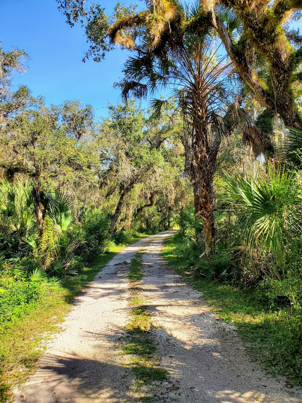 Myakka River State Park Clay Gully Picnic Area | 28722 Clay Gully Rd, Myakka City, FL 34251, USA | Phone: (941) 361-6511