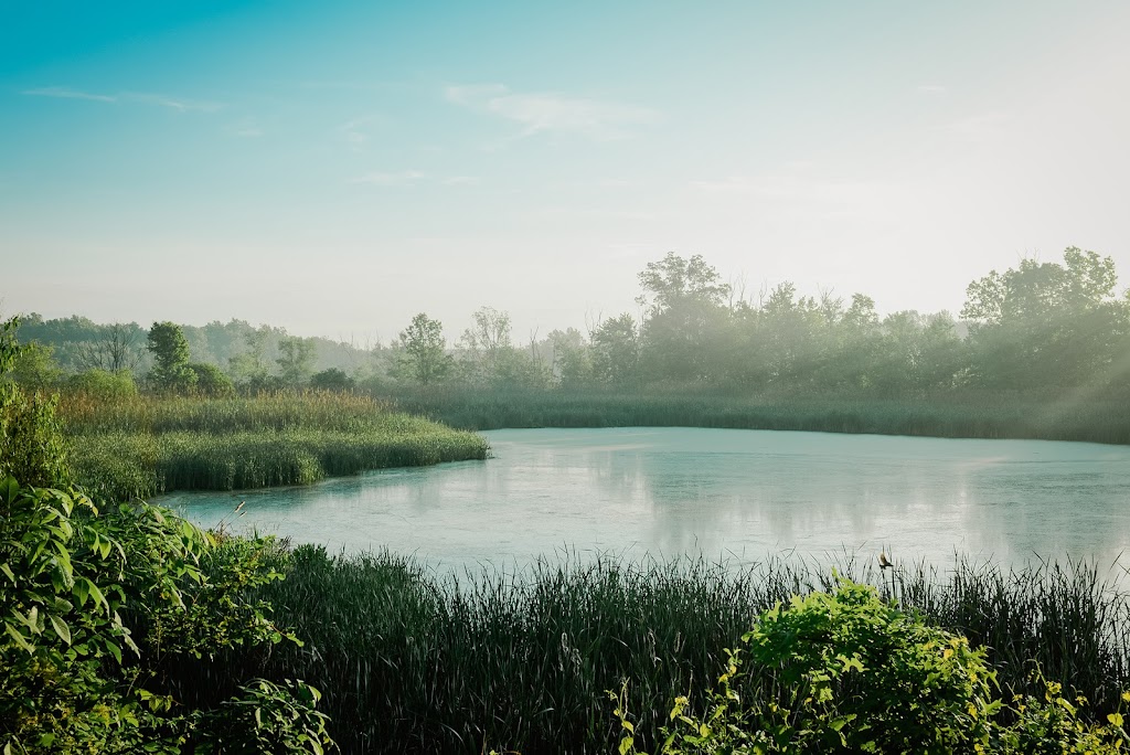 William J. Robertson Nature Preserve | 85 Morning Star Dr, Rittman, OH 44270, USA | Phone: (330) 925-2045