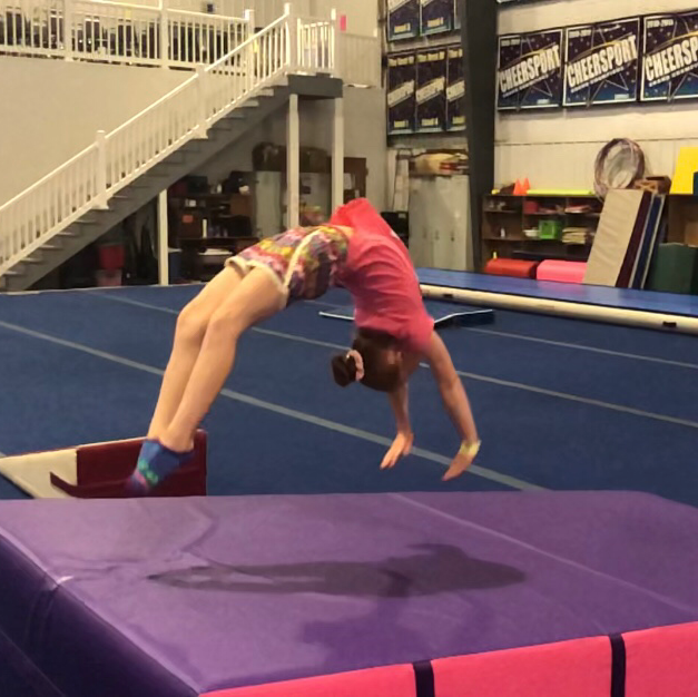 FCA Gems and Flos Gymnastics Plus Inc | 732 Ekastown Rd, Sarver, PA 16055, USA | Phone: (724) 353-9000