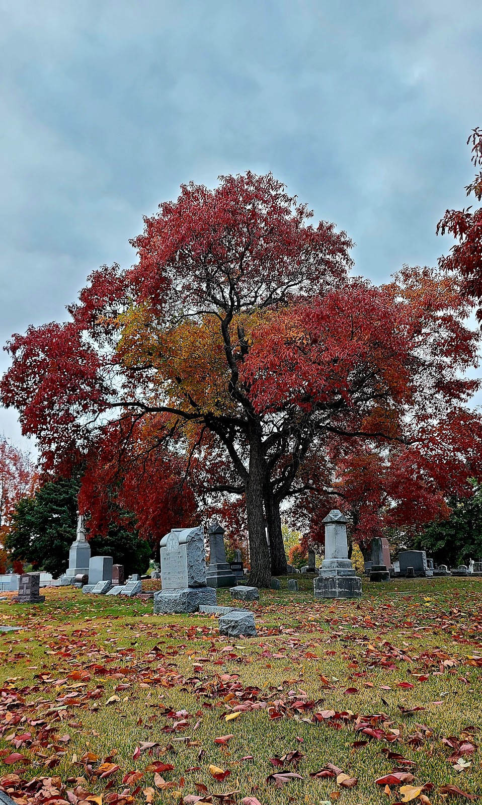 Mount Carmel Cemetery | 900 Ford Ave, Wyandotte, MI 48192, USA | Phone: (734) 285-2155