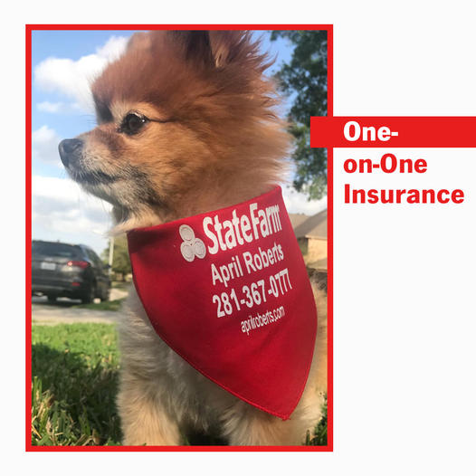 April Roberts - State Farm Insurance Agent | 1525 Lake Front Cir #5, The Woodlands, TX 77380, USA | Phone: (281) 367-0777