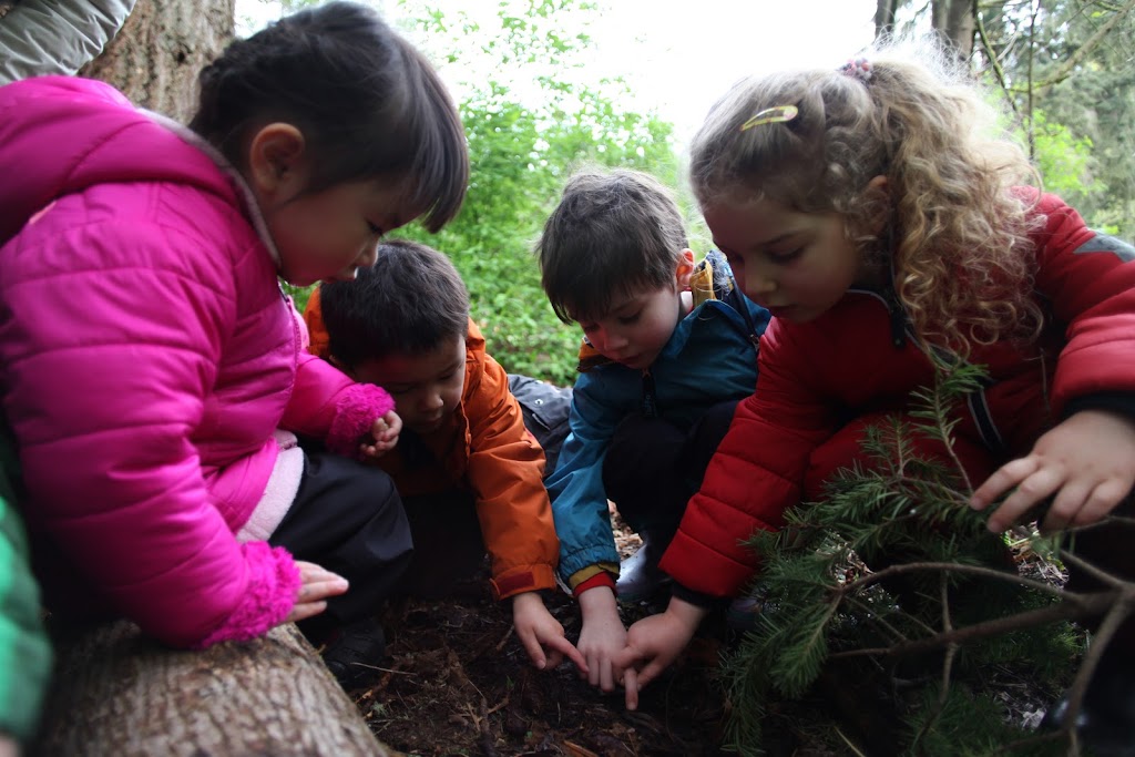 Nature Vision Preschool | Farrel-McWhirter Farm Park, 19545 NE Redmond Rd, Redmond, WA 98053, USA | Phone: (425) 836-2697