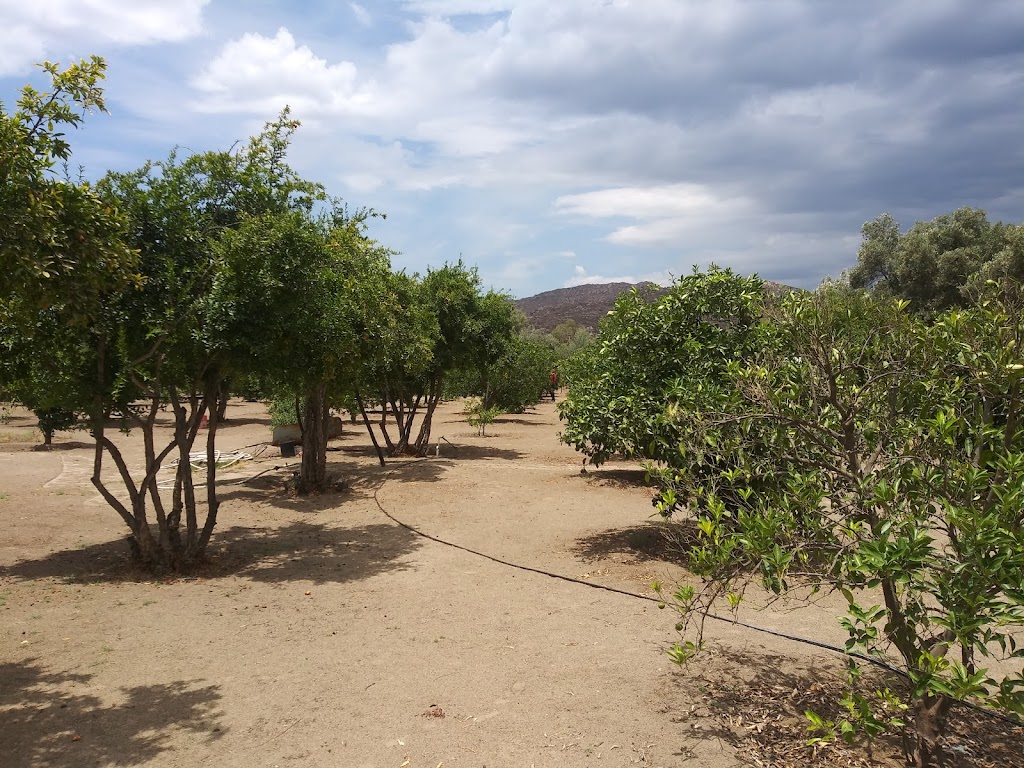 Rancho Guijarro | 22750 Ensenada, B.C., Mexico | Phone: 646 249 0304