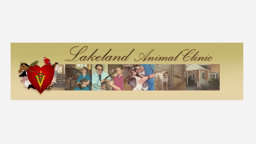 Lakeland Animal Clinic | 11639 IN-13, Syracuse, IN 46567, USA | Phone: (574) 457-5574