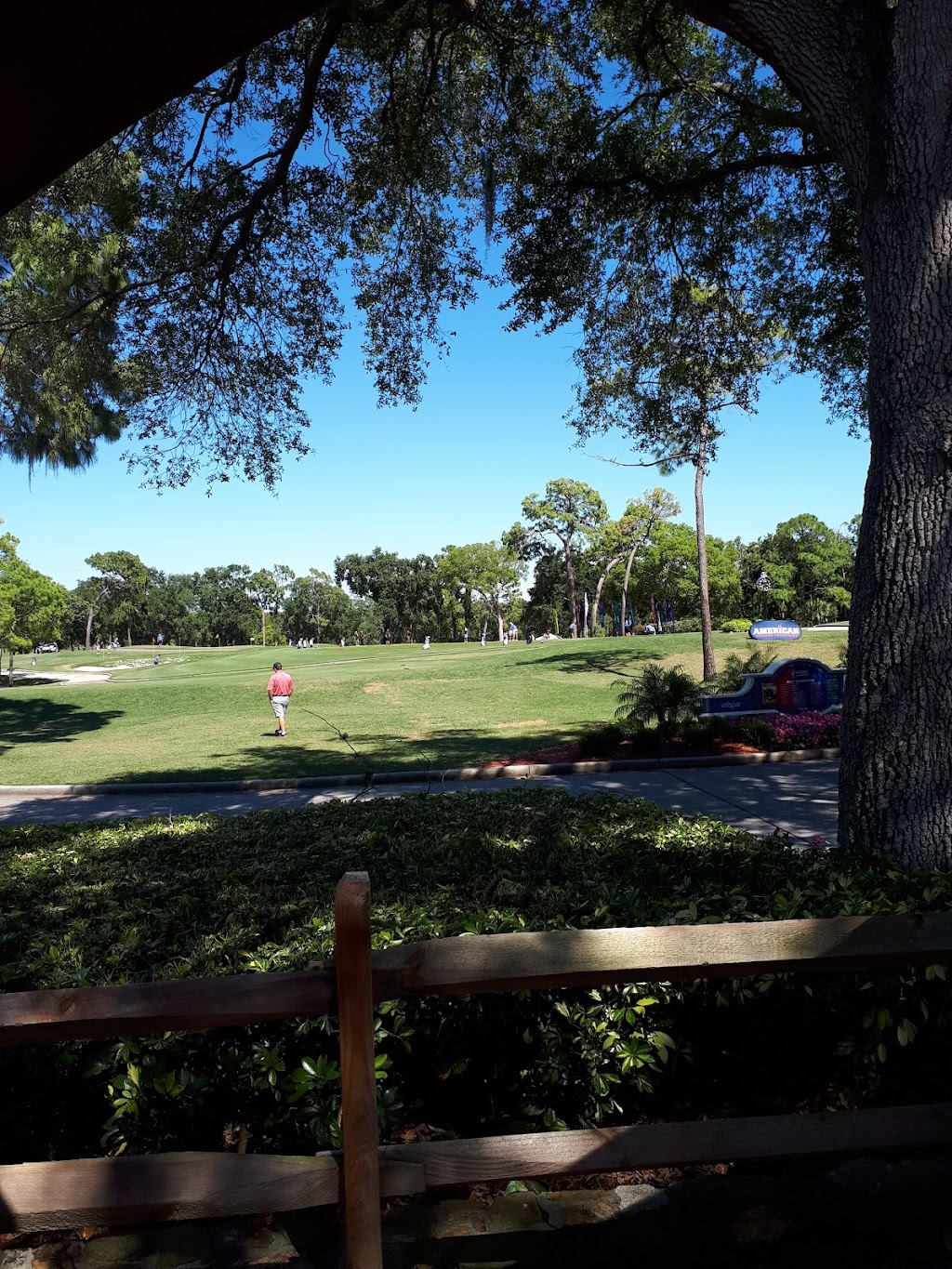 Packards Steak House | 36750 US Hwy 19 N, Palm Harbor, FL 34684, USA | Phone: (727) 942-5240