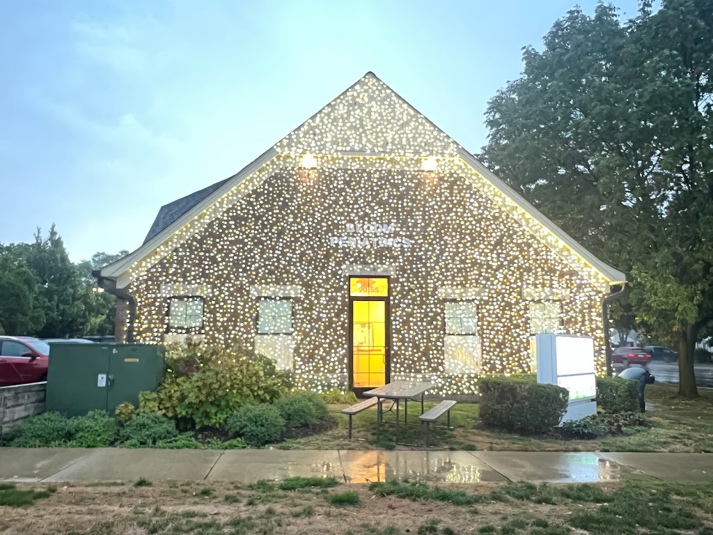 Zoros Christmas Lights | 17492 Park St, Livonia, MI 48152, USA | Phone: (248) 408-6393