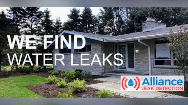 Alliance Leak Detection | 1095 Raymond Hill Rd, Newnan, GA 30265, USA | Phone: (770) 415-8457