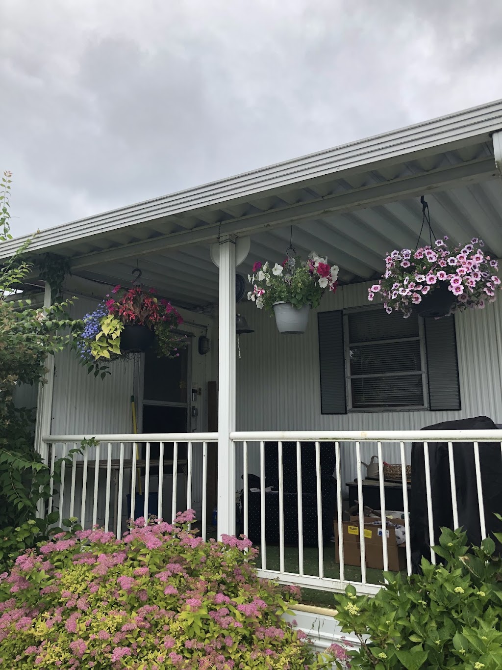 Orchard Bluff Mobile Home 1345 SE Carl Pickel Dr Port Orchard WA