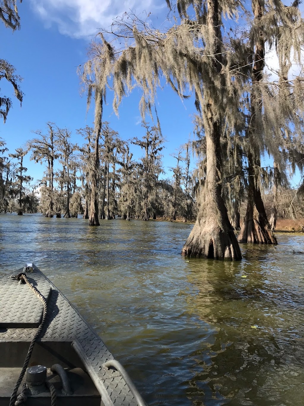 Acadian Swamp Tours | 66270 Spur 75, Plaquemine, LA 70764, USA | Phone: (225) 247-4156