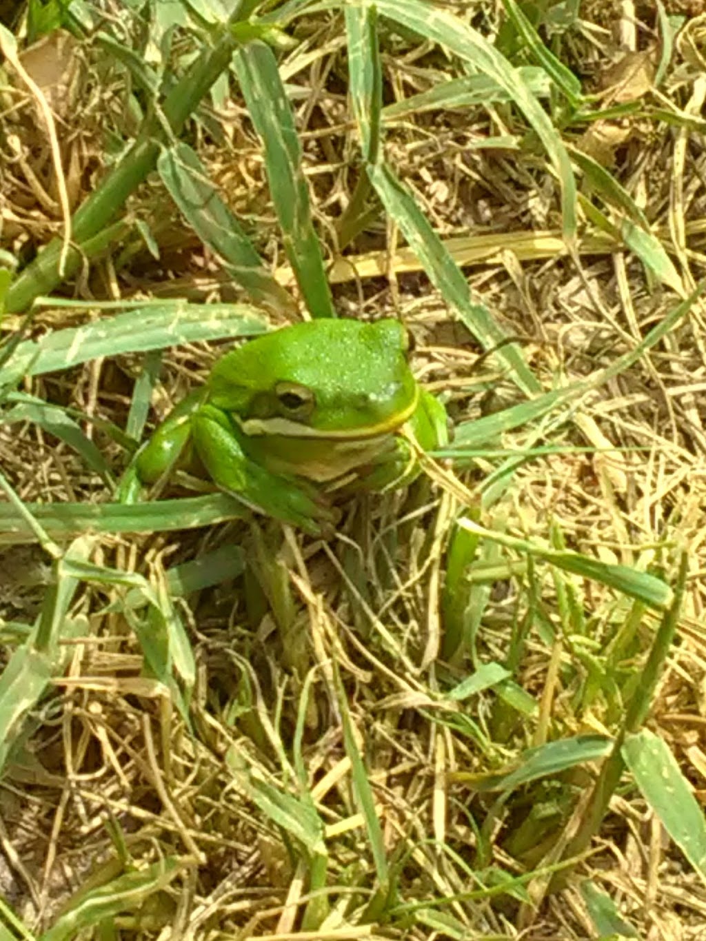 Elm Creek RV Park | 4888 FM467, Seguin, TX 78155, USA | Phone: (830) 303-3398