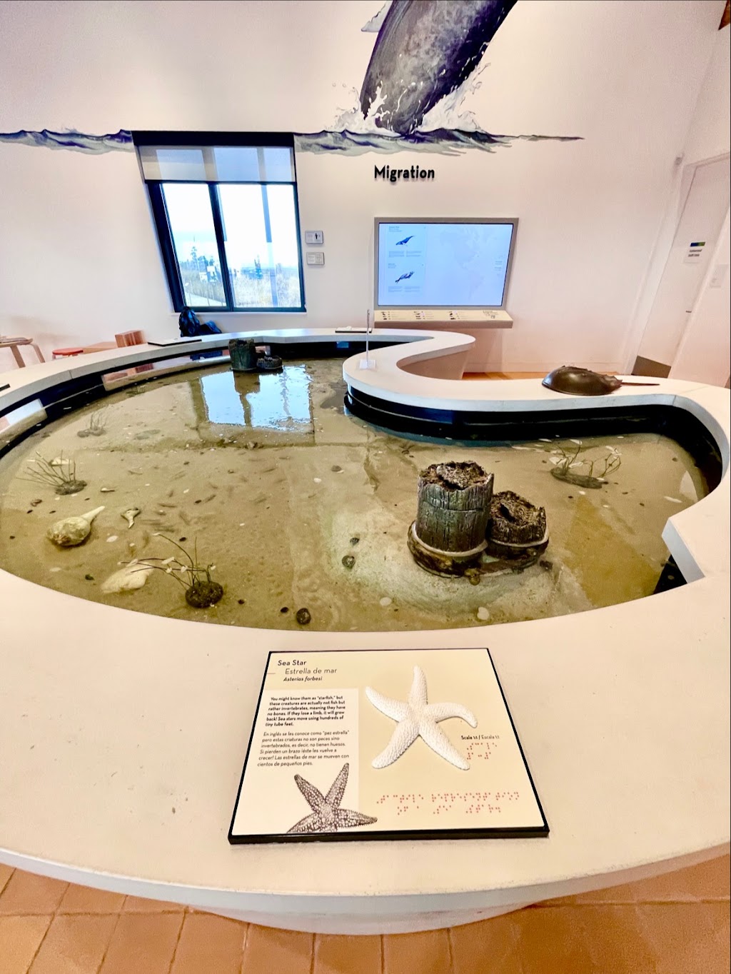 Jones Beach Energy & Nature Center | 150 Bay Pkwy, Wantagh, NY 11793, USA | Phone: (516) 809-8222