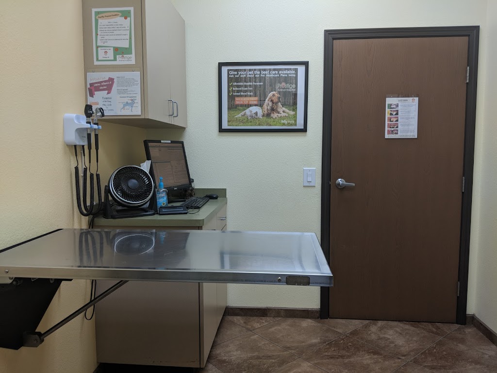 Prestige Animal Hospital - South Fontana | 10986 Sierra Ave, Fontana, CA 92337, USA | Phone: (909) 357-7300