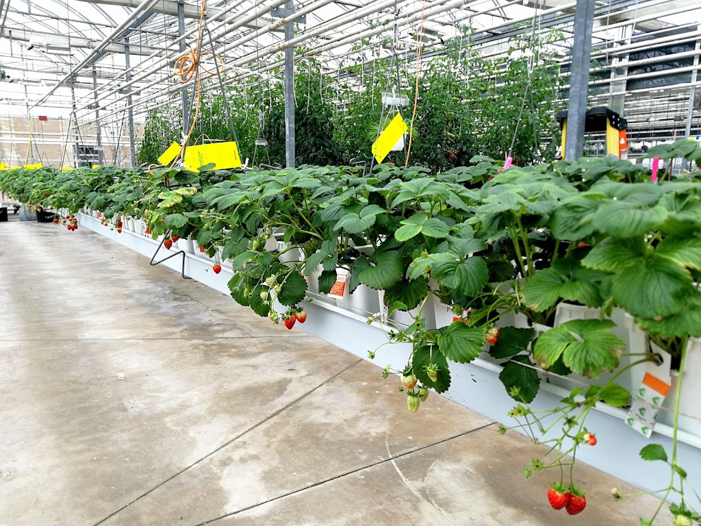 Niagara College Greenhouse Nursery | 135 Taylor Rd, Niagara Falls, ON L0S 1J0, Canada | Phone: (905) 641-2252 ext. 4082