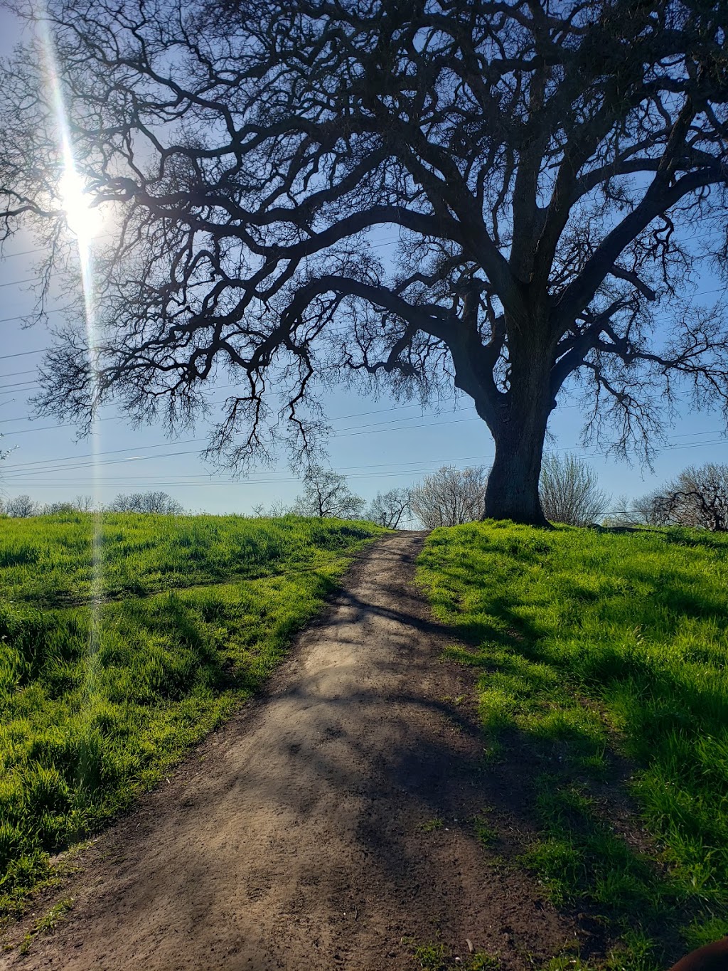 Northwoods Park | 8236 Old Ranch Rd, Citrus Heights, CA 95610, USA | Phone: (916) 725-1585 Northwoods Park | 8236 Old Ranch Rd, Citrus Heights, CA 95610, USA | Phone: (916) 725-1585