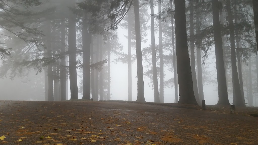 Bald Peak State Scenic Viewpoint | 24730 SW Bald Peak Rd, Hillsboro, OR 97123, USA | Phone: (800) 551-6949