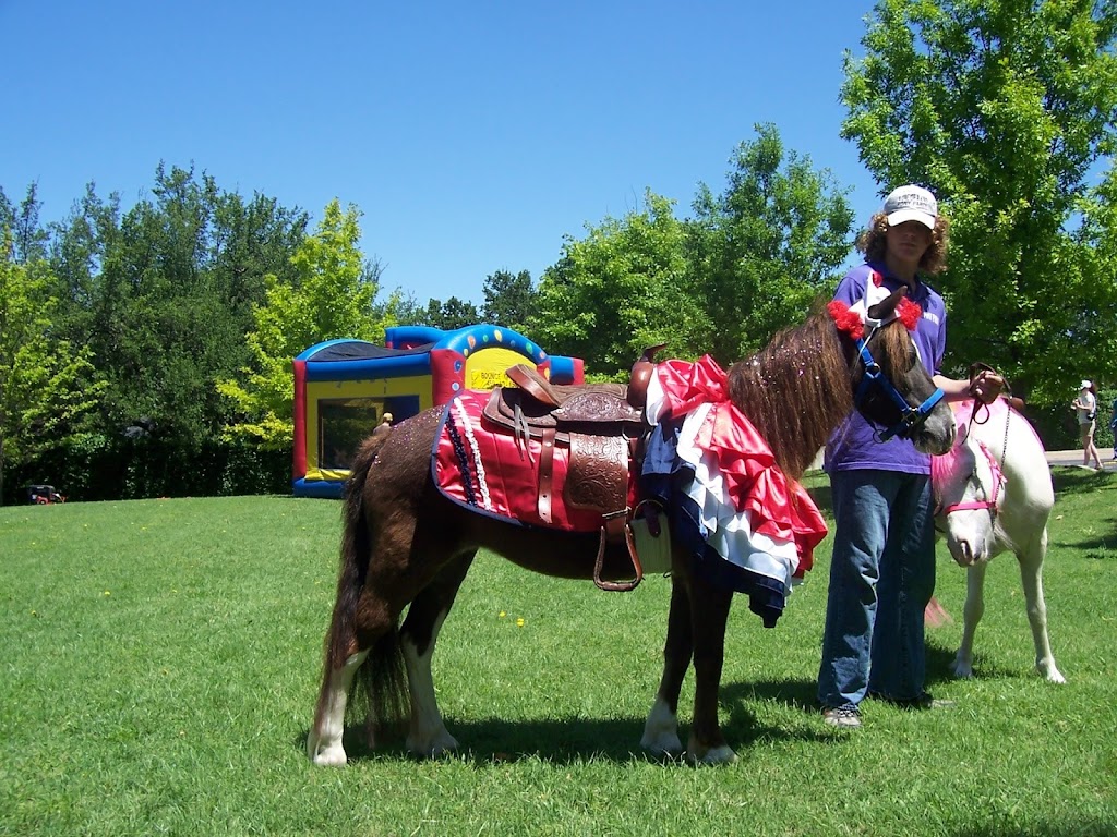 A One of A Kind Pony Party | 912 Bells Chapel Cir, Waxahachie, TX 75165 | Phone: (972) 617-3948