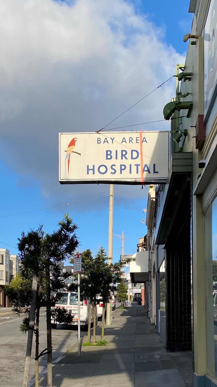 Bay Area Bird Hospital: Dustin Lynn R DVM | 2145 Taraval St, San Francisco, CA 94116, USA | Phone: (415) 566-4359