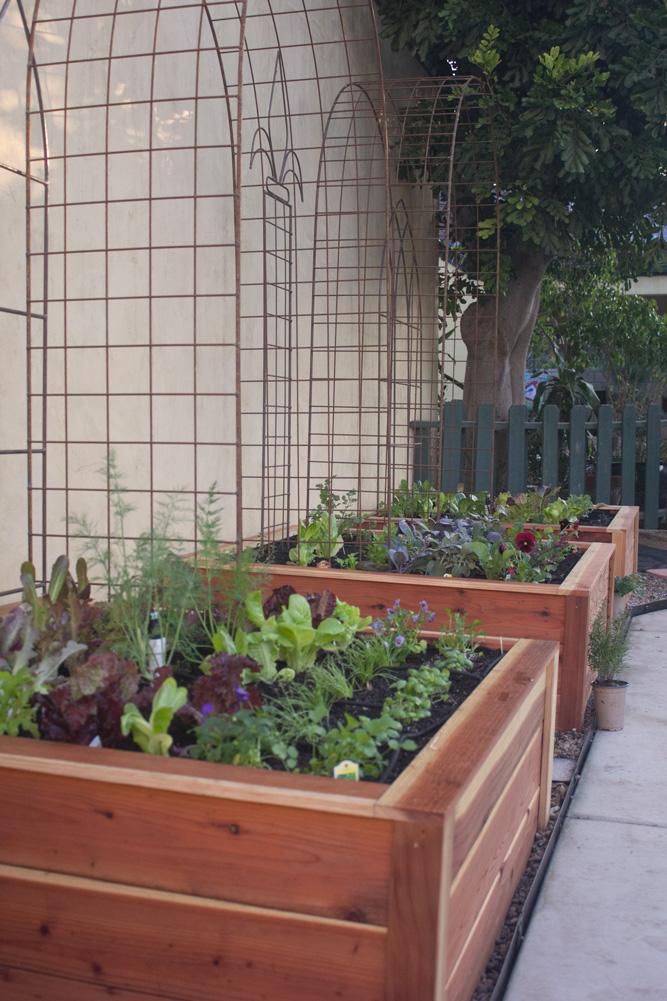 Heirloom Potager | 2416 N Riverside Dr, Santa Ana, CA 92706, USA | Phone: (714) 360-0015