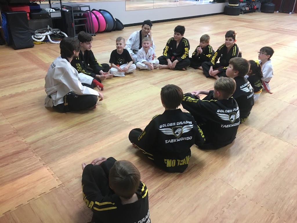 Golden Dragon Taekwondo - Owasso | 7168, 8517 North 129th East Avenue, Owasso, OK 74055, USA | Phone: (918) 841-1502