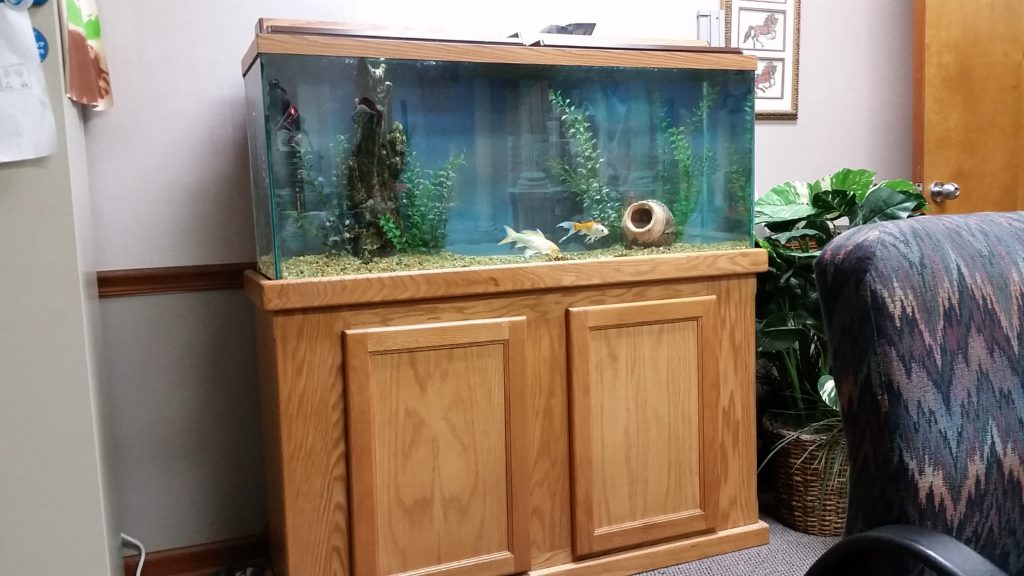 Southeastern Fish Tanks | 469 Isle of Pines Rd, Mooresville, NC 28117 | Phone: (704) 253-5322