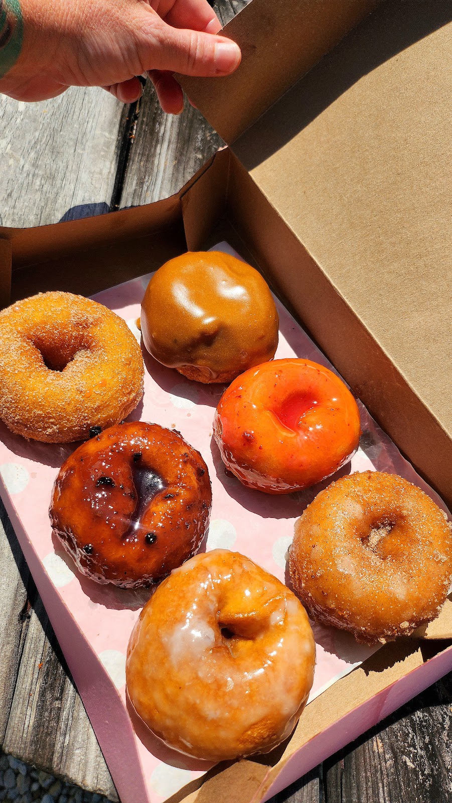 Sandbar Donuts | 102840 Overseas Hwy, Key Largo, FL 33037, USA | Phone: (305) 619-4541